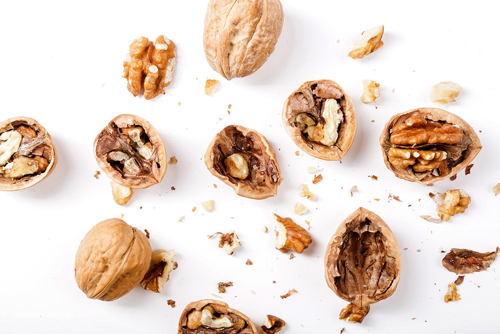 Nuts. Walnuts